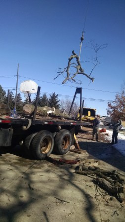 Copy of IMG_20150312_120723960.jpg